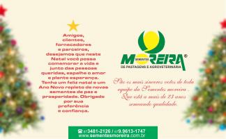 Imagem 85 - Feliz Natal e Pr&oacute;spero Ano No...